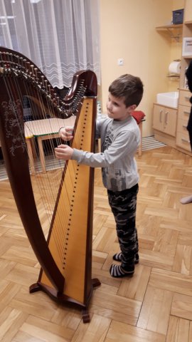 Audycja muzyczna - harfa