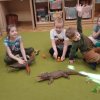 Galeria fotografii - Dzień Dinozaura żuczki i biedronki
